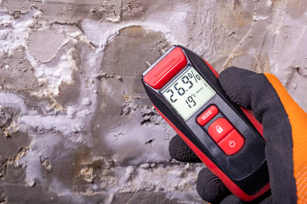 Best Mold Cleaning Services  in , ME