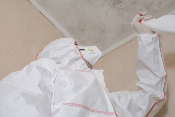 Best Mold Testing  in , ME